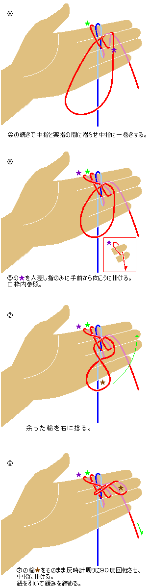 knots-nishiki-kankoku2.gif